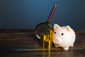Piggy bank with money and magnifying glass. Find new investments and funds for business project....