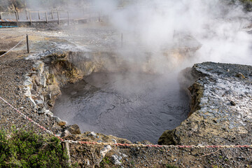 Steamy hot springs near the shores of Lagoa das Furnas, in the Sao Miguel island (Azores, Portugal)