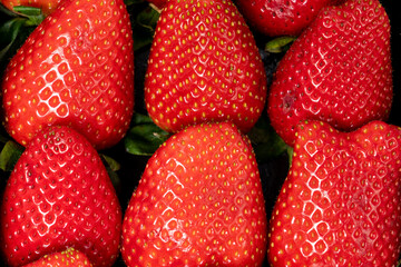 ripe and tasty rows of strawberries, natural organic food concept