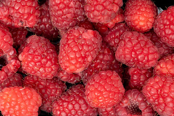 a lot of fresh and sweet raspberries, berry background