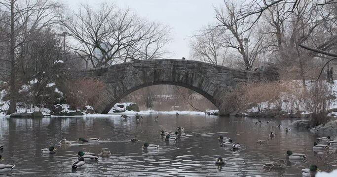 Cold afternoon in snow covered central park