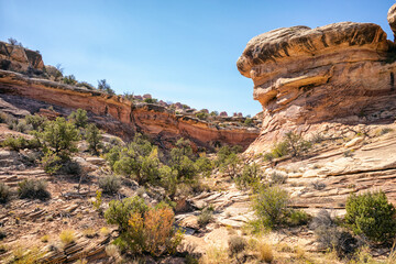 Fototapeta premium Sandstone landscape in Canyonlands National Park, Utah