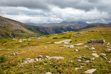 Alpine grassland in the Hunter-Fryingpan Wilderness