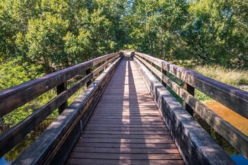 Obraz premium A very long boardwalk sin Red Rock State Park, Arizona