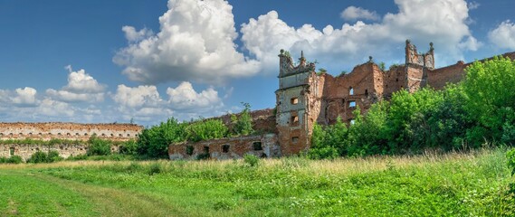 Fototapeta na wymiar Stare Selo Castle in Lviv region of Ukraine