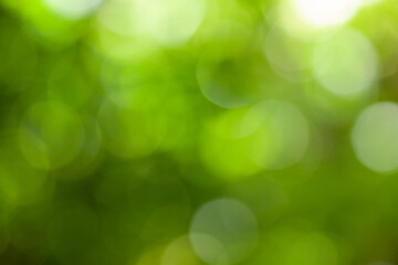 green bokeh background