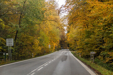 Fototapeta premium Autumn view of I11 road, Czech Republic