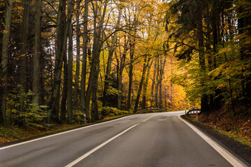 Autumn view of I11 road, Czech Republic