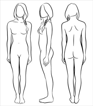  Illustration of female figure with contour front, side and back view, simple lines. Vector art.