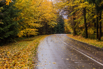 Autumn view of a road near Usti nad Orlici, Czech Republic