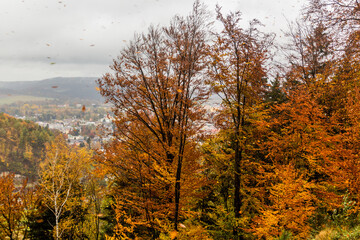 Fototapeta premium Windy autumn forest with leaves flying around