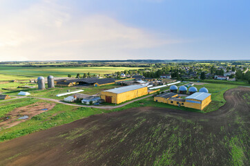 Farmland with Barn at farm, aerial view. Cows and pigs in village. Silo storage at farm. Elevator for storage siliage and grain. Feed Silos Hopper. Farm building with animals on plantation.