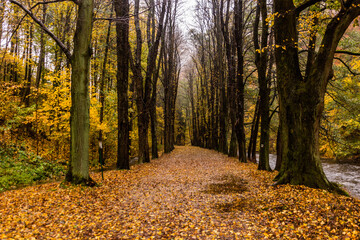 Autumn view of a path in Potstejn village, Czech Republic