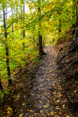 Autumn view of a path near Potstejn castle, Czech Republic