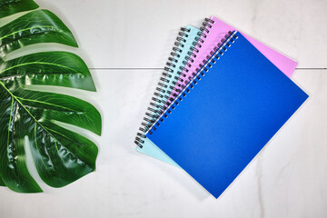 Monstera Leaves