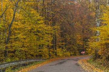 Autumn view of a road in the Czech Republic