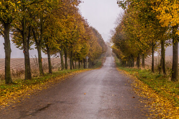 Autumn view of a country road in the Czech Republic