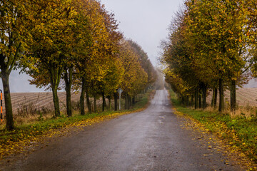 Fototapeta premium Autumn view of a country road in the Czech Republic