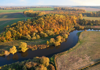 Fototapeta na wymiar River at field in the fall season. Golden autumn landscape. Aerial view of the wild river on sunset in autumn season. Trees with yellow leaves at a small winding river. Aerial panoramic landscape.