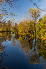 Fototapeta na wymiar Autumn view of Botic stream in Prague, Czech Republic
