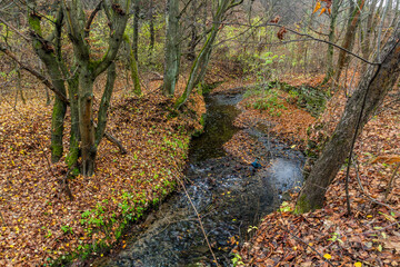 Dalejsky potok stream in Prague, Czech Republic