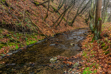 Autumn view of Dalejsky potok stream in Prague, Czech Republic