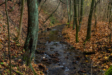 Autumn view of Dalejsky potok stream in Prague, Czech Republic