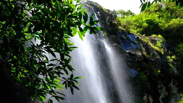 Watefall through the leafs in Mauritius