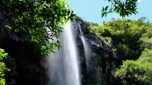 Watefall through the leafs in Mauritius