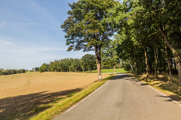 Rural road near Tabor, Czech Republic