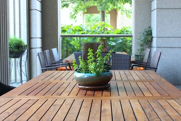 Gren plant in container on wooden table near wicker chairs within an outdoor patio.