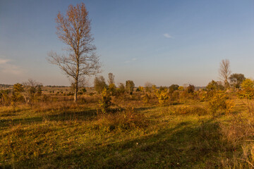 Fototapeta na wymiar Landscape of Milovice Nature Reserve, Czech Republic