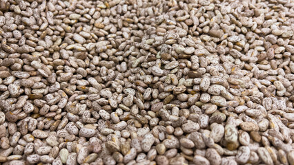 Pile of Pinto Bean .