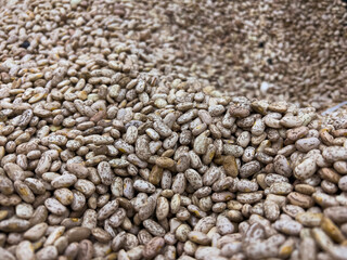 Pile of Pinto Bean .