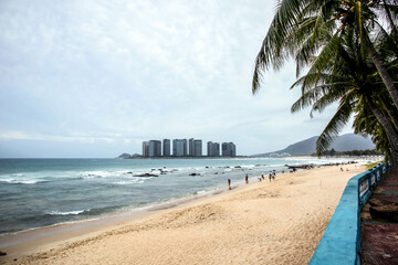 beach with palm trees