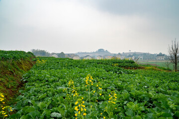 Fototapeta na wymiar Rural landscape in Hunan, China