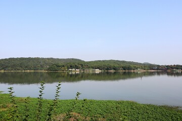 landscape with lake and trees