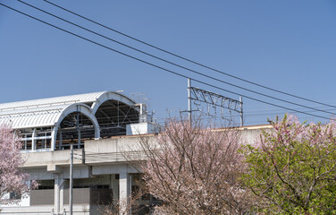 Obraz premium 春風景 桜、電車