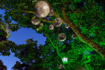 Disco ball hanging on a tree around beautiful illumination