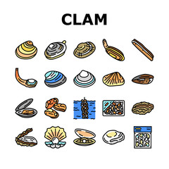 Clam Marine Sea Farm Nutrition Icons Set Vector. Ocean Quahog And Surf Clam, Pearl Oyster Shell And Mussel, Donax And Pacific Geoduck Line. Seafood Delicious Nutrient Color Illustrations - obrazy, fototapety, plakaty