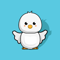 baby white dove on blue background