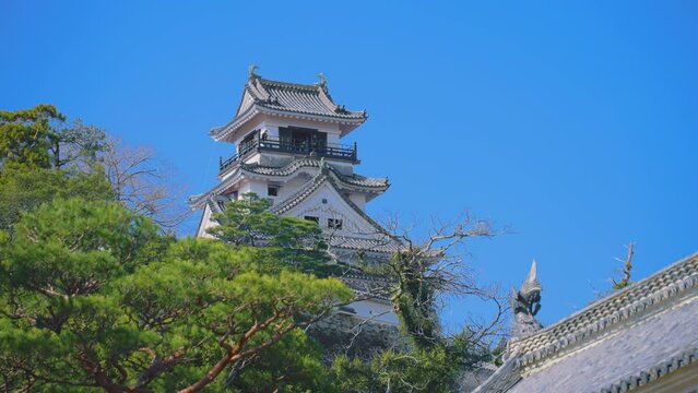 快晴の空の下の高知城天守閣　4K　UHD