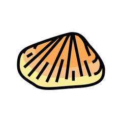 donax clam color icon vector. donax clam sign. isolated symbol illustration