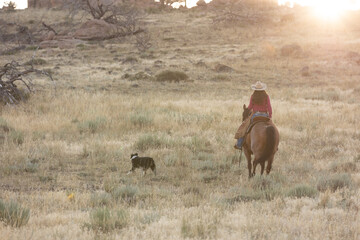 Fototapeta na wymiar Wyoming Cowgirl on Bay horse