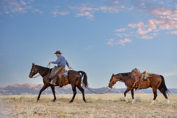 Cowboy leading horse