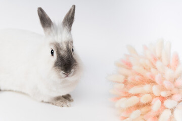 Cute fluffy white rabbit with a bouquet of flowers. High quality photo