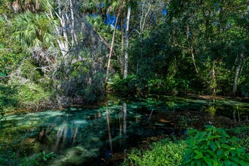 Obraz premium creative