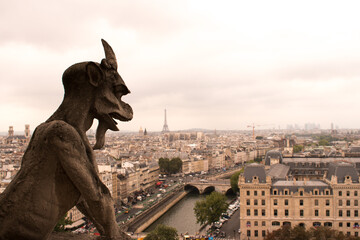 Gargoyle at Cathedra; Notre-Dame Paris with view of  Eiffel Tower
