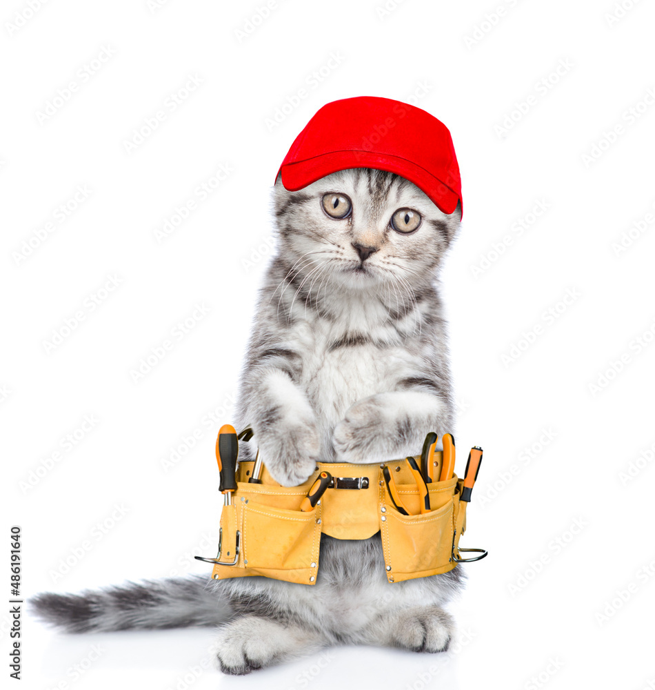Aufkleber funny cat wearing red cap and toolbelt looks at camera. isolated on white background