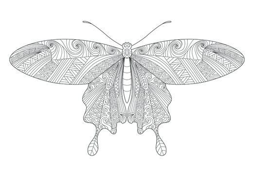 Butterfly coloring page. Anti-stress coloring book for adults and children. Zentangle. Black and white moth doodle sketch. Tattoo design
